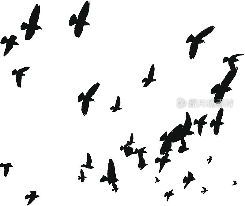 Vector Birds Flying Away - Peace to the World